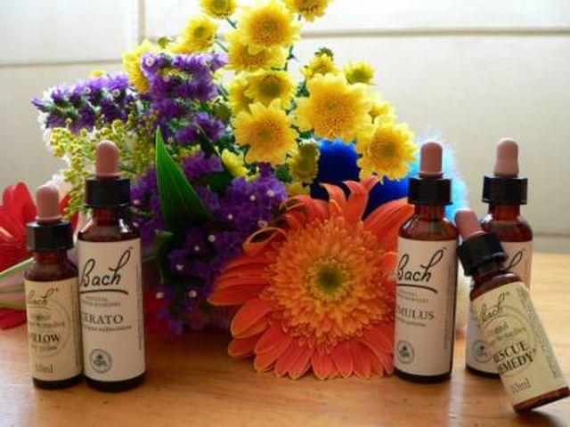 Flores de Bach